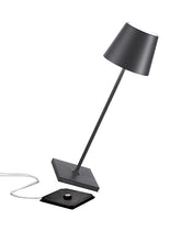 Load image into Gallery viewer, BATTERY LAMP - INDOOR AND OUTDOOR - MEDIUM
