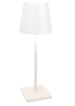 Load image into Gallery viewer, BATTERY LAMP - INDOOR AND OUTDOOR - LARGE
